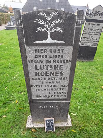 Grootegast 102 Lutske Koenes
