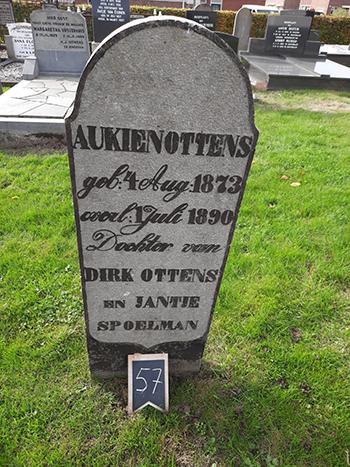Grootegast 057 Aukien Ottens